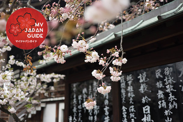 My Japan Guide - Your personalized tour in Japan